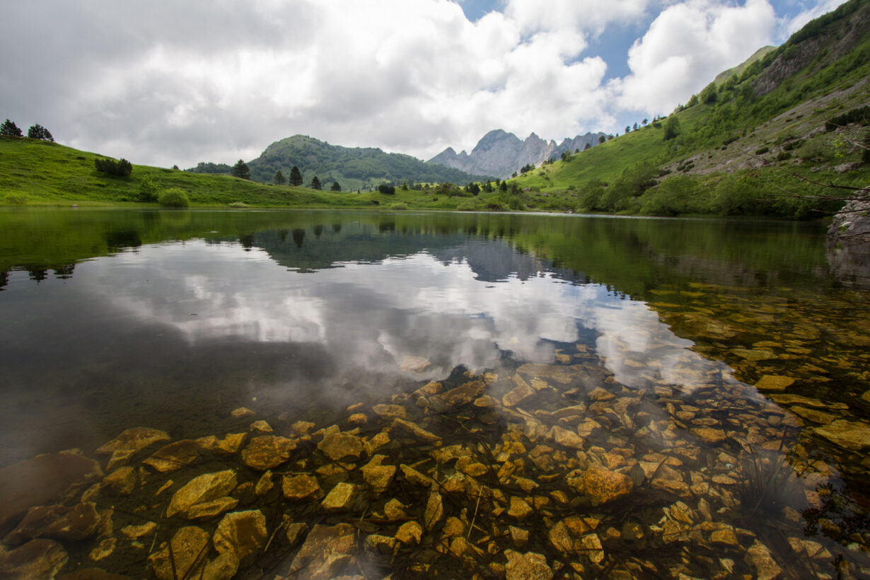 Зеленгора